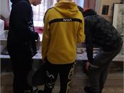 Действующие экспозиции и выставки